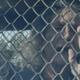 Image for article titled Orange Is The New Black: “Comic Sans”/“Appropriately Sized Pots”